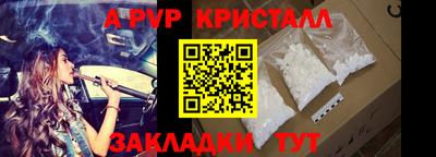 шишки Лесосибирск