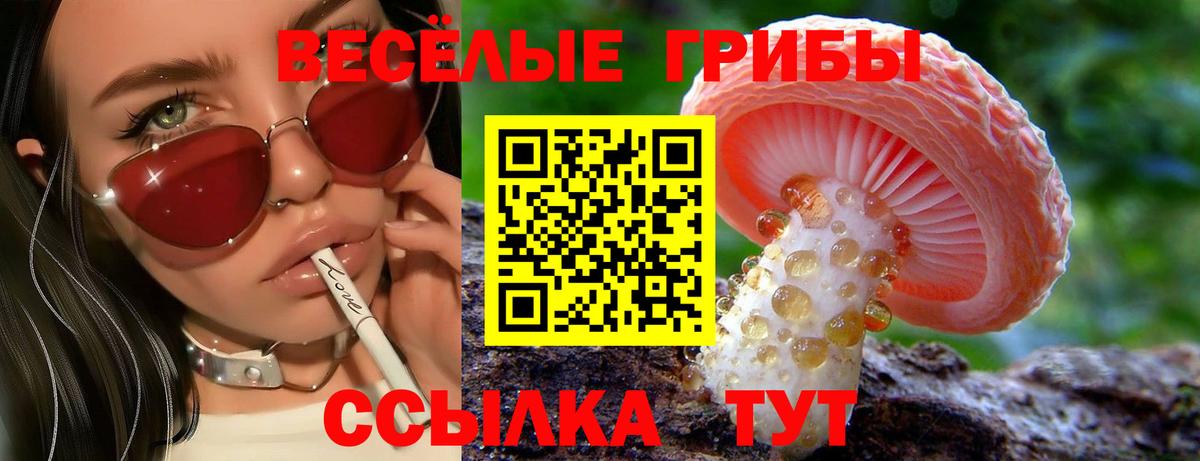 Галлюциногенные грибы MAGIC MUSHROOMS  Вход с VPN  Дубна 